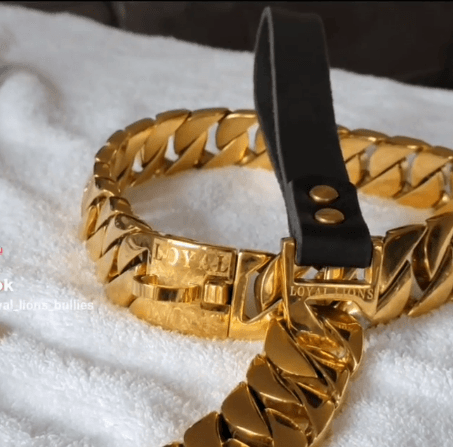 Custom Dog Collars Made to Fit