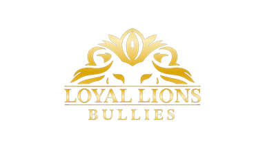 Loyal Lions XL American Bullies