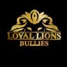Loyal Lions XL American Bullies